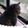 カズマ's profile picture