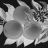 Фото профиля eric atwell