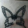 cantareil11's profile picture