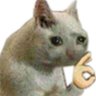Profilbild von ZeroHearts