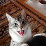 Profilbild von ムっﾏﾛ