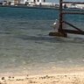عبدالرحمن's profile picture