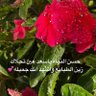 Profilbild von سـٰٰٰٖٖٖۧحـ๋͜ـ🌧ـابة خيـٰٰٰٖٖٖۧـ๋͜ــر ❤️
