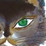 メリケン@雑多𝕏 profil fotoğrafı
