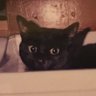 ゆう 的头像