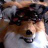 CoyoteStyleDoPro's profile picture