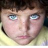 سوانح's profile picture