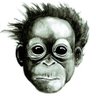 Profilbild von Similar 2 God