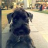 Sniper profil fotoğrafı
