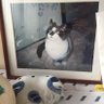 ばんつー丸見え profil fotoğrafı