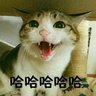 温暖之锤's profile picture