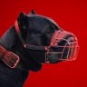 Traderall XR's profile picture