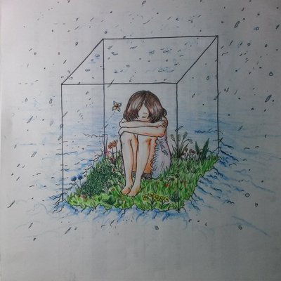 MACA's profile picture