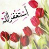 حلم الياسمين 的头像