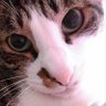 Profilbild von onbusite