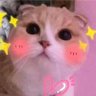 lunajiao's profile picture