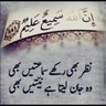 Hafsa Akbar's profile picture
