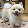 ゆっくんりったん's profile picture