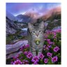Sharon Dunn & Gary🐱🇨🇦IStandWithUkraine🇺🇦's profile picture
