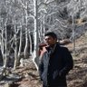 Adem Uludağ's profile picture