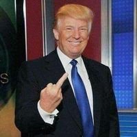 marilyn mills🐾🇺🇸💜🌴🦀's profile picture