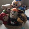 噛み付くあらぽん profil fotoğrafı