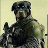 S.P profil fotoğrafı
