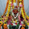 Profilbild von BHARAT SARAF