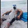 Bryant533's profile picture