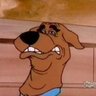 unjust Raj's profile picture
