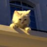صفاء الروح's profile picture