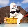 Profilbild von (ФωФ)