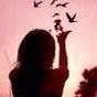 S Alshaikh's profile picture