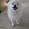 ゆき⛄'s profile picture