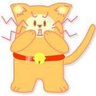 Фото профиля 猫村にゃんどら