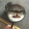 john werner's profile picture