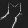 Profilbild von F