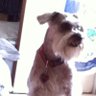 kathy B 🇮🇹 profil fotoğrafı