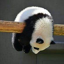 mohu_Movie's profile picture