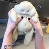 meg 🧸 profil fotoğrafı