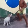Skate do Chorão profil fotoğrafı