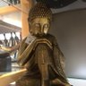 草堂 的头像