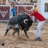 Alejandro Pastor's profile picture