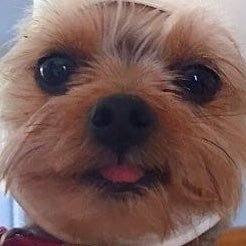 Donny36455's profile picture