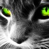 HeffBeFromWuhan's profile picture