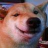 Cristian Kohler's profile picture