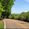 country road, window down, come fill an empty seat's profile picture
