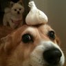 Yoet's profile picture