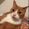Jethro 的头像