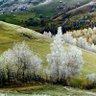 Фото профиля Ana Maria